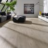 JAB DF quer Loft Titel 5018